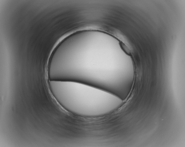 X0000114431436200910161023