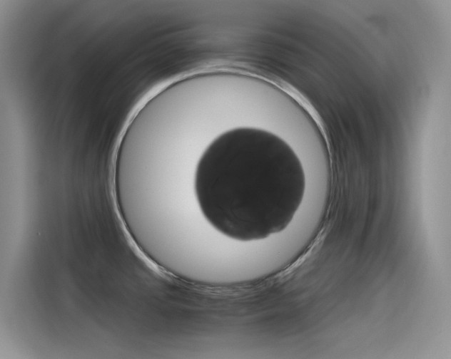 X0000114431437200910161023