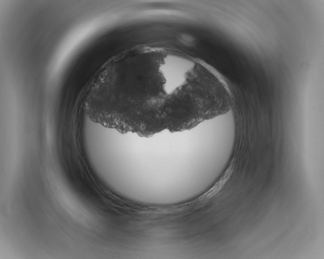 X0000114431438200910161023