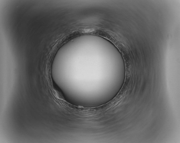 X0000114431441200910161022