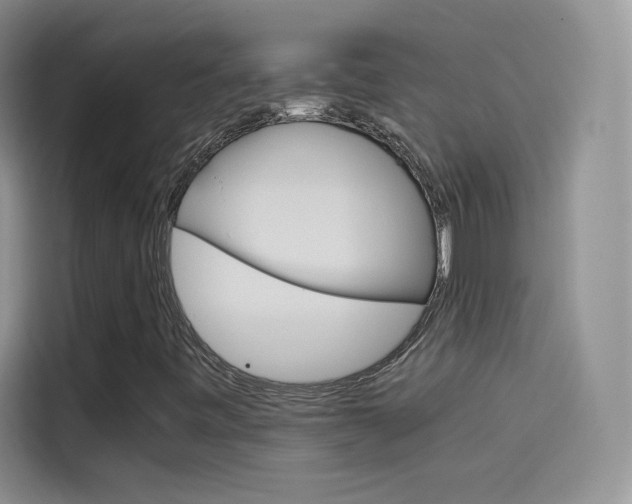X0000114431443200910161022