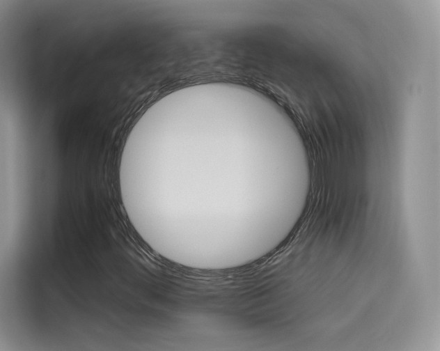 X0000114431444200910161022