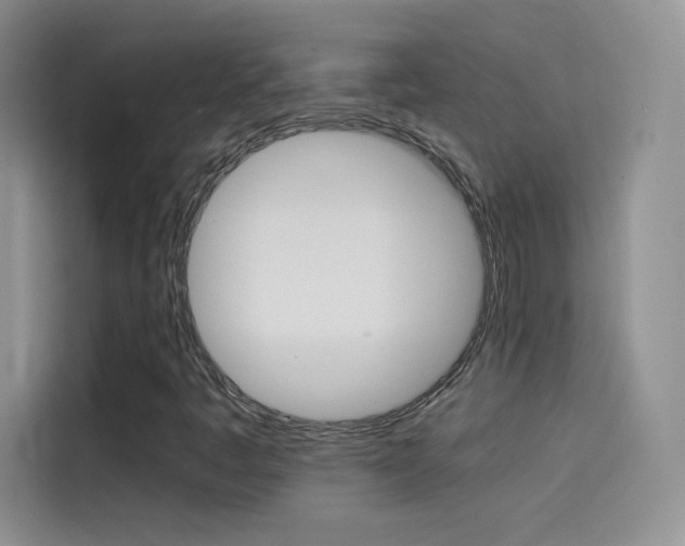 X0000114431445200910161022