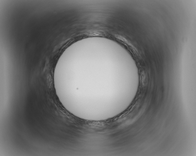 X0000114431446200910161022