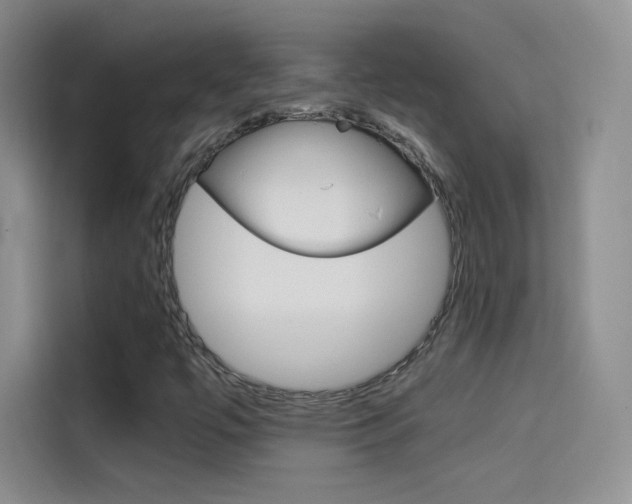 X0000114431447200910161022