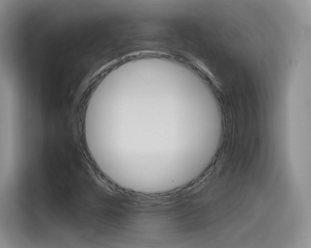 X0000114431448200910161022