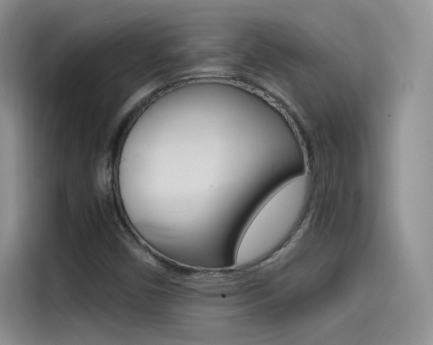 X0000114431450200910161022