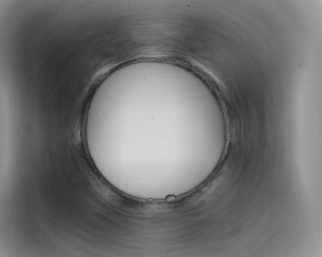 X0000114431451200910161022