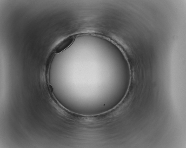 X0000114431452200910161022