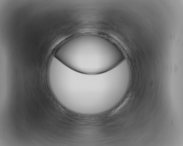 X0000114431453200910161022