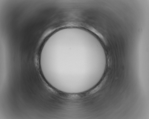 X0000114431454200910161022
