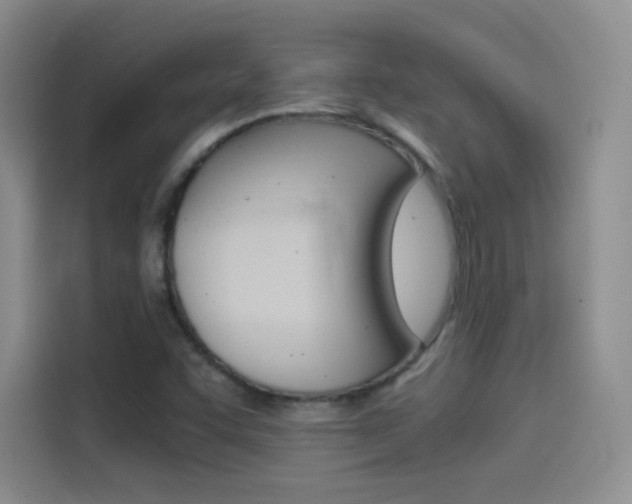 X0000114431455200910161022