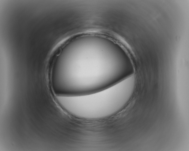 X0000114431456200910161022