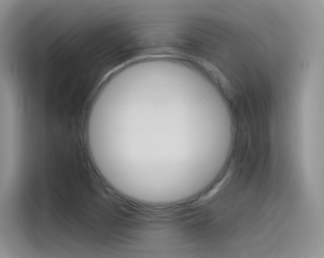 X0000114431457200910161022
