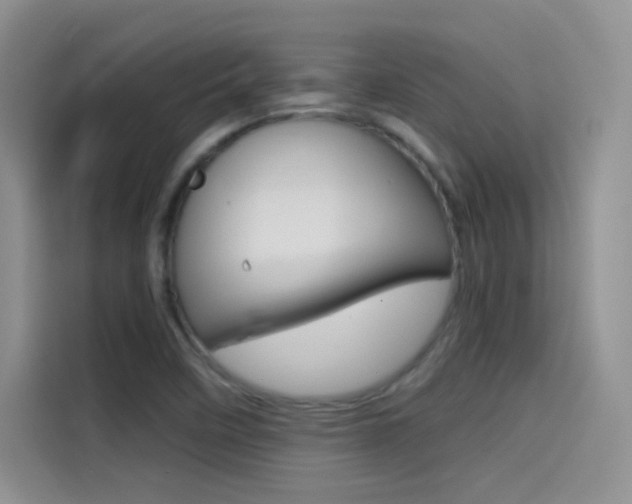 X0000114431458200910161022