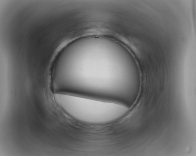 X0000114431459200910161022