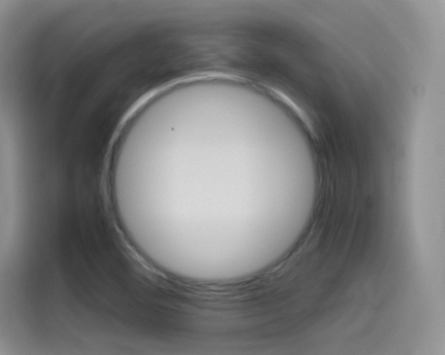 X0000114431460200910161022
