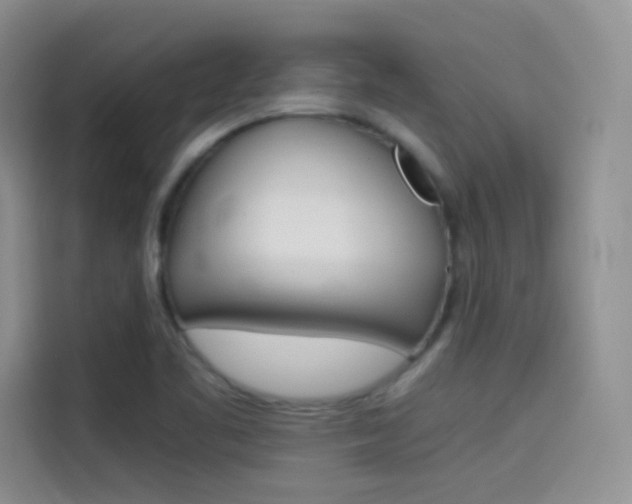 X0000114431461200910161022