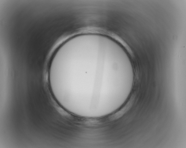 X0000114431462200910161022