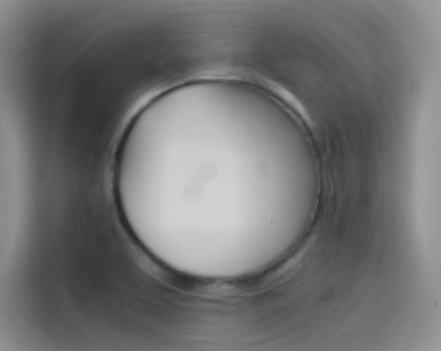 X0000114431463200910161022