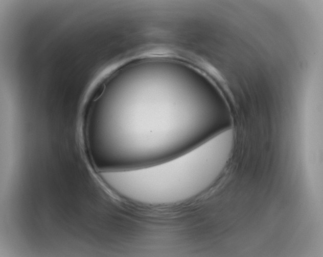 X0000114431464200910161022