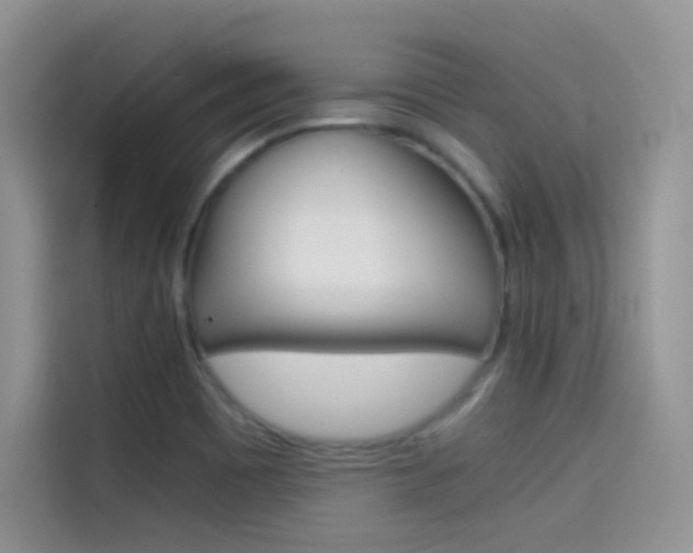 X0000114431465200910161022