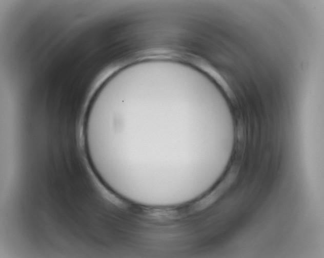 X0000114431466200910161022