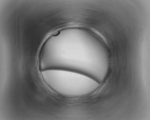 X0000114431467200910161022