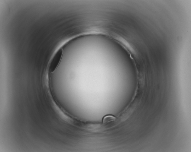 X0000114431468200910161022