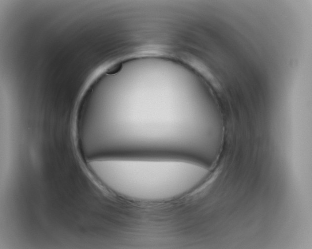 X0000114431469200910161022