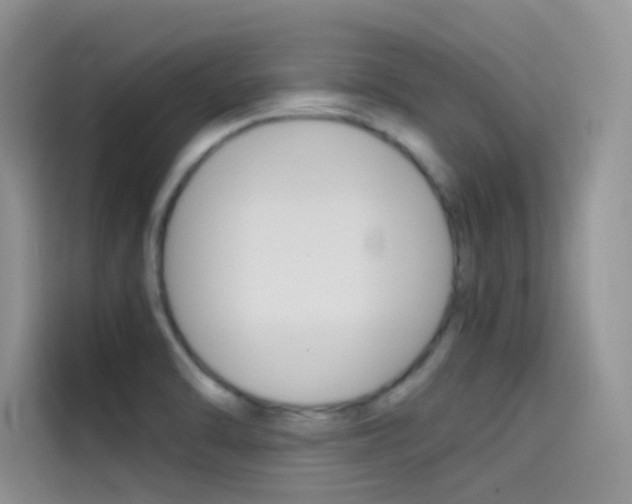 X0000114431470200910161022