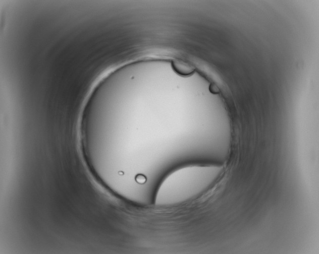 X0000114431471200910161022