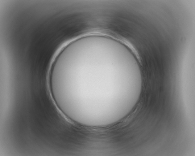 X0000114431472200910161022