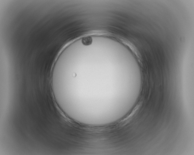X0000114431473200910161022
