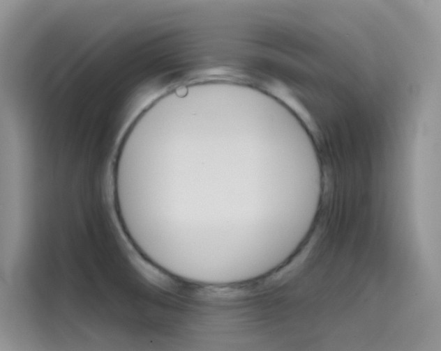 X0000114431474200910161022