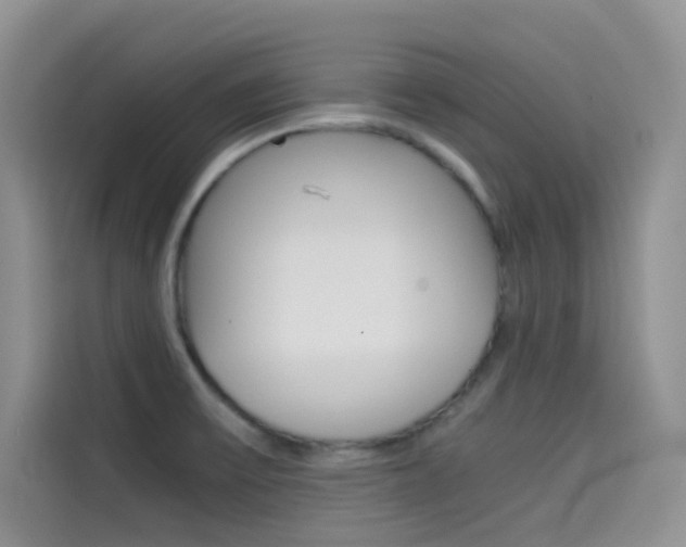 X0000114431475200910161022
