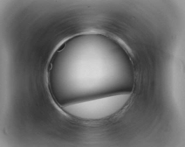 X0000114431476200910161022