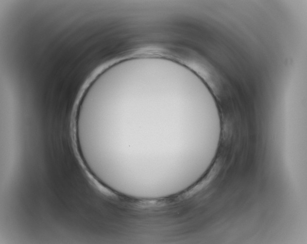 X0000114431478200910161022
