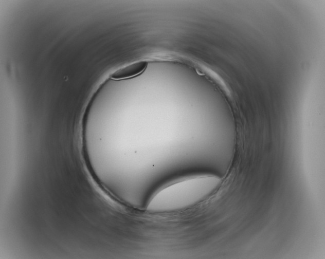 X0000114431479200910161022