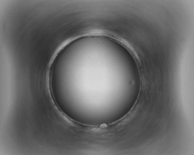 X0000114431480200910161022