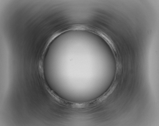 X0000114431481200910161022
