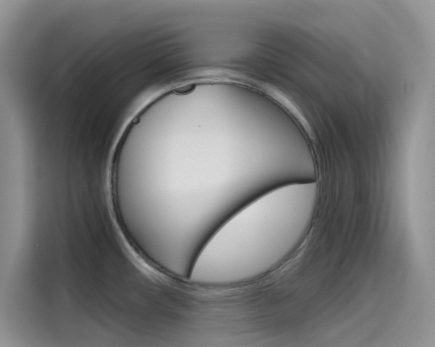 X0000114431482200910161022