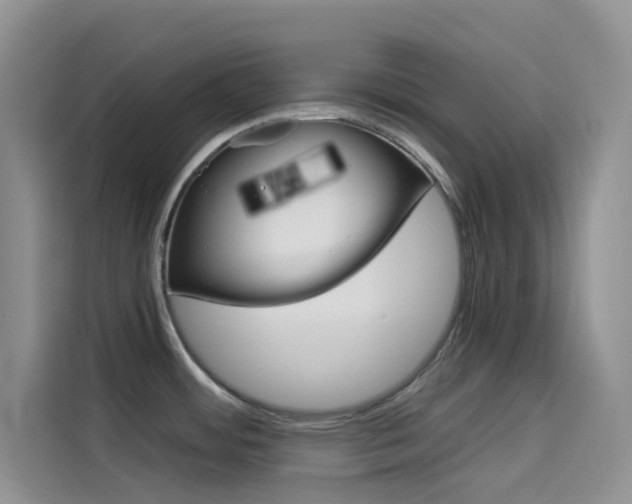 X0000114431484200910161022