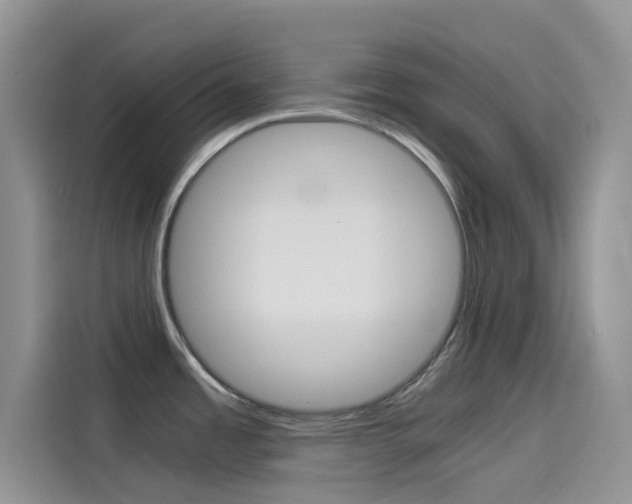 X0000114431485200910161022