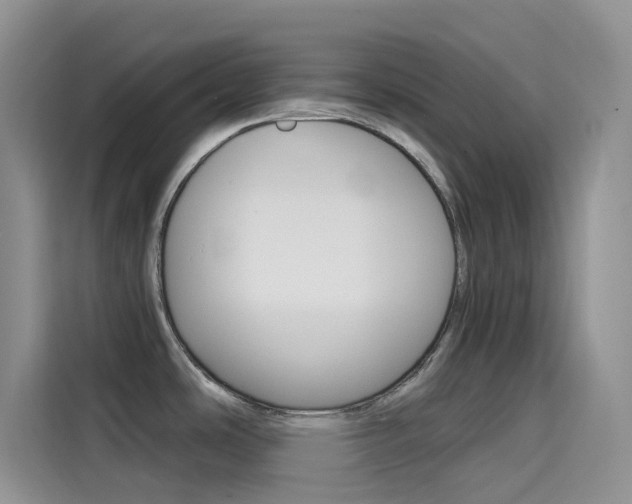 X0000114431486200910161022