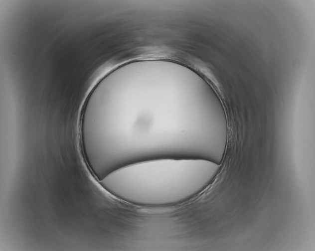 X0000114431487200910161022
