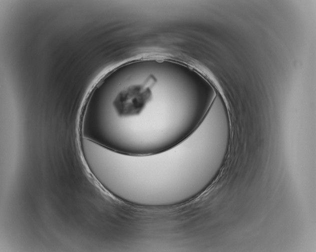 X0000114431488200910161022