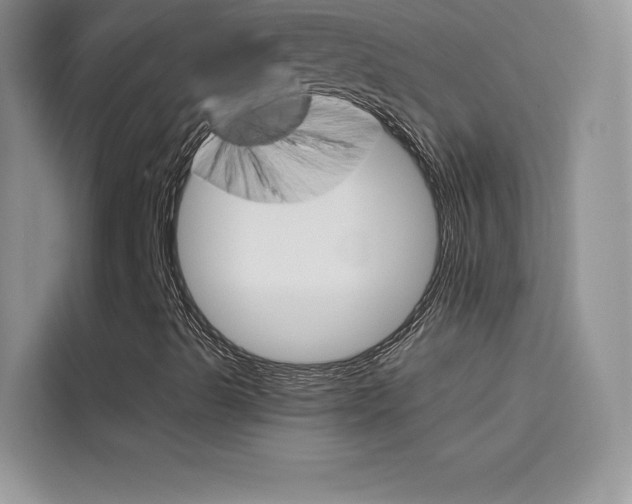 X0000114431489200910161021
