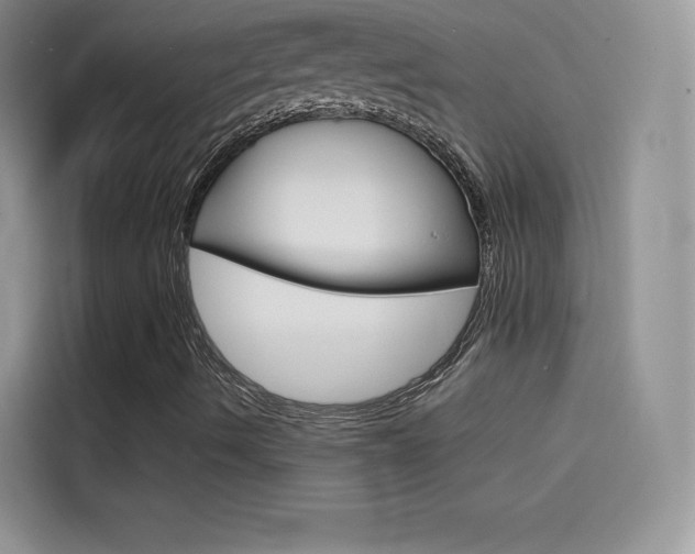 X0000114431490200910161021