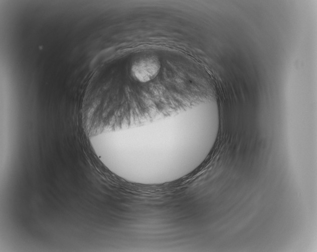 X0000114431491200910161021